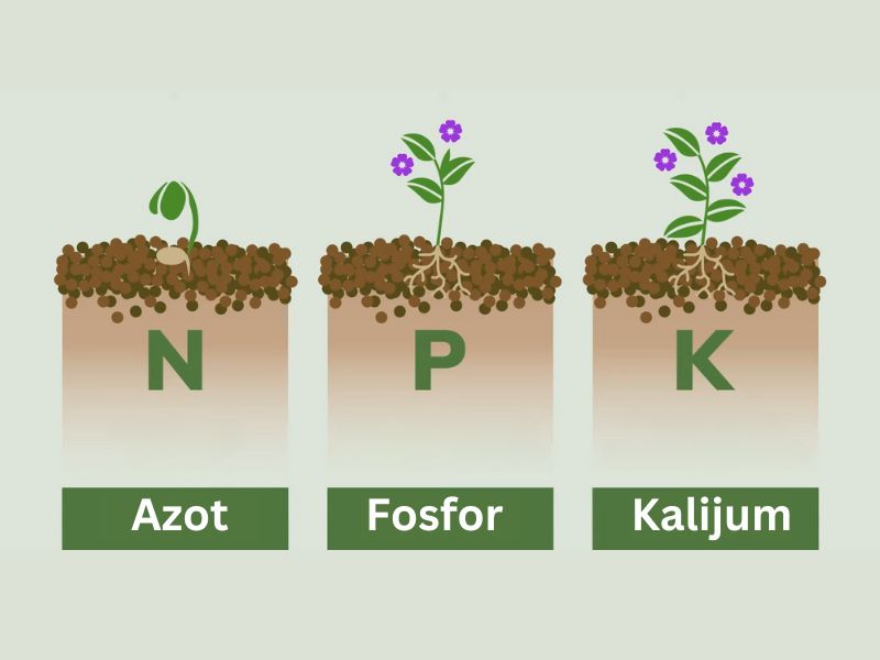 npk đubrivo unapređuje fizički, hemisjki i biološki proces