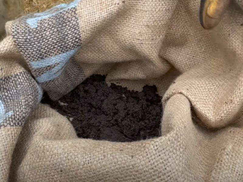 Optimalan razmak i dubina sadnje, uz pravilnu pripremu zemlje i semena, omogućavaju veći prinos krompira u džakovima.