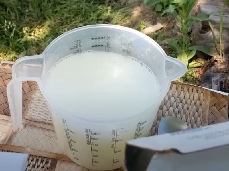Prirodni fungicidi su ekološki prihvatljiva alternativa, poboljšavaju zdravlje biljaka i zemljišta u organskoj proizvodnji.