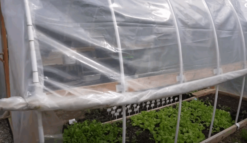 Pogrešne hemikalije uništavaju foliju iznutra — čitaj etikete i uvek dobro provetri plastenik.