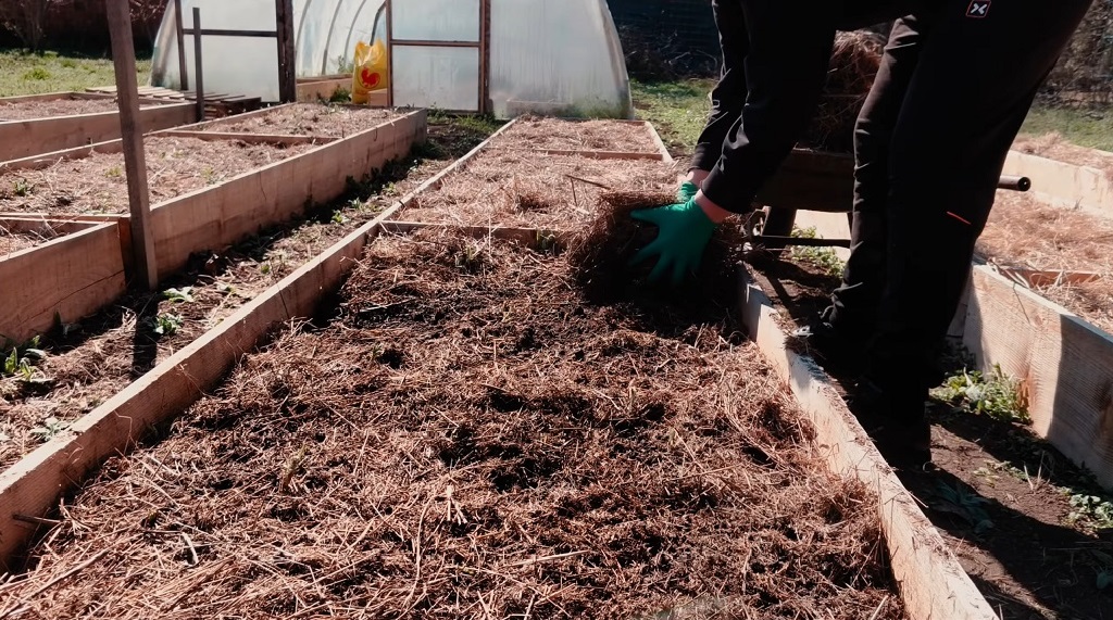 Osoba u bašti dodaje organski materijal na gredicu kao đubrivo za pripremu zemljišta