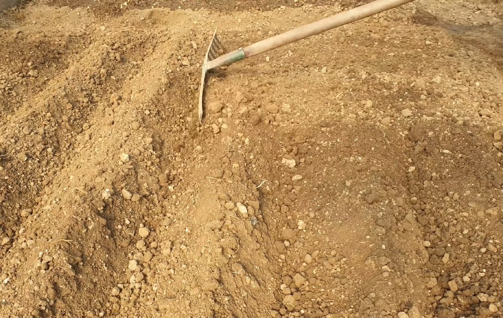 Grabljama se priprema zemljište za sadnju, tlo usitnjeno i poravnato